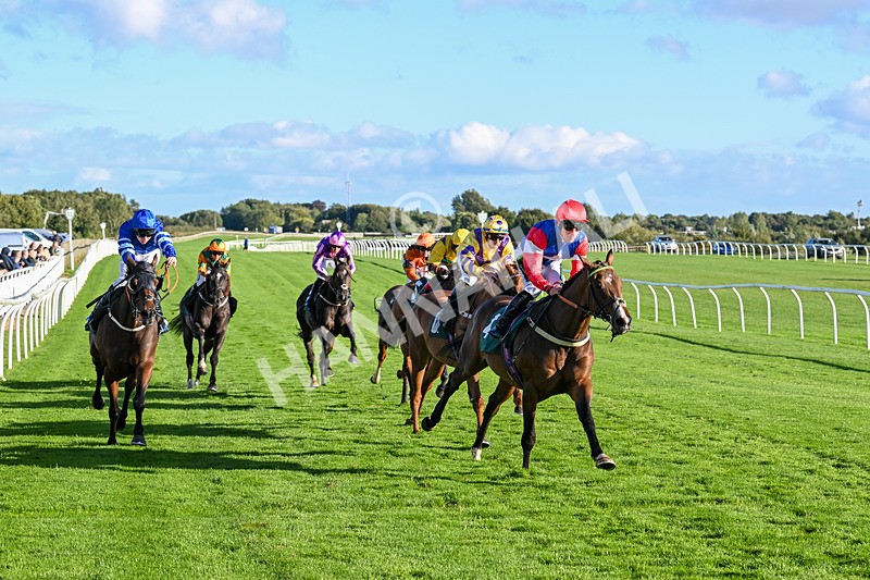 100924-Race 7-Desert Dream-0710 - Race 7