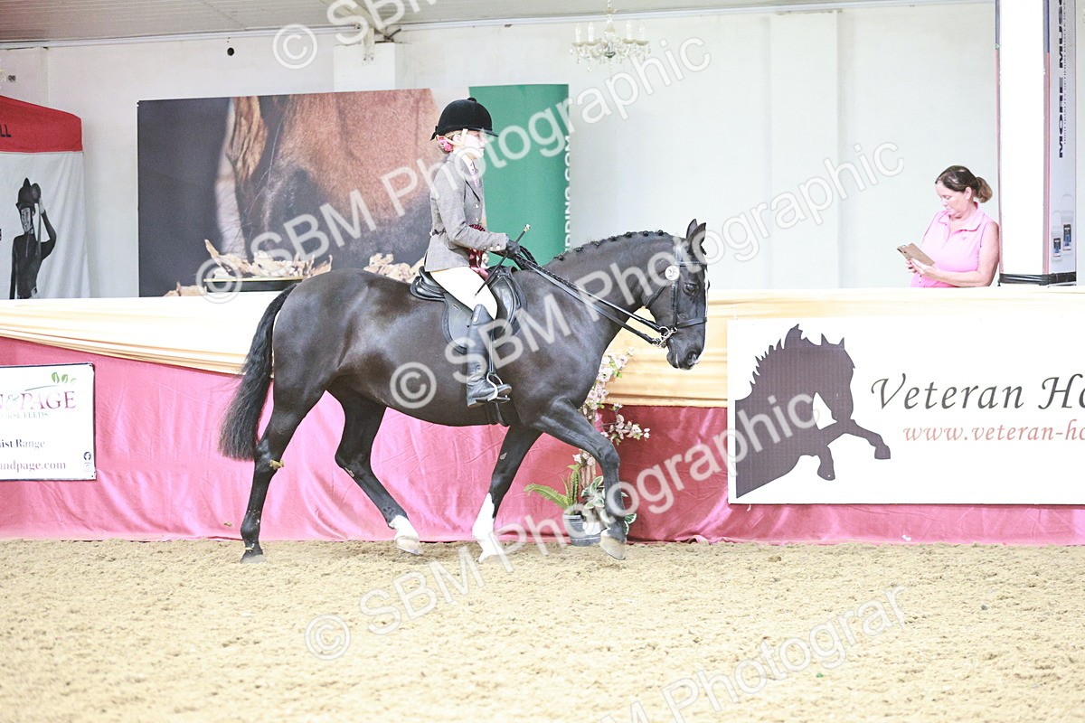 SBM_08642 - Regional Ridden Champ