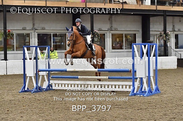 BPP_3797 - FRI CLASS 21 BR NOVICE/90CM