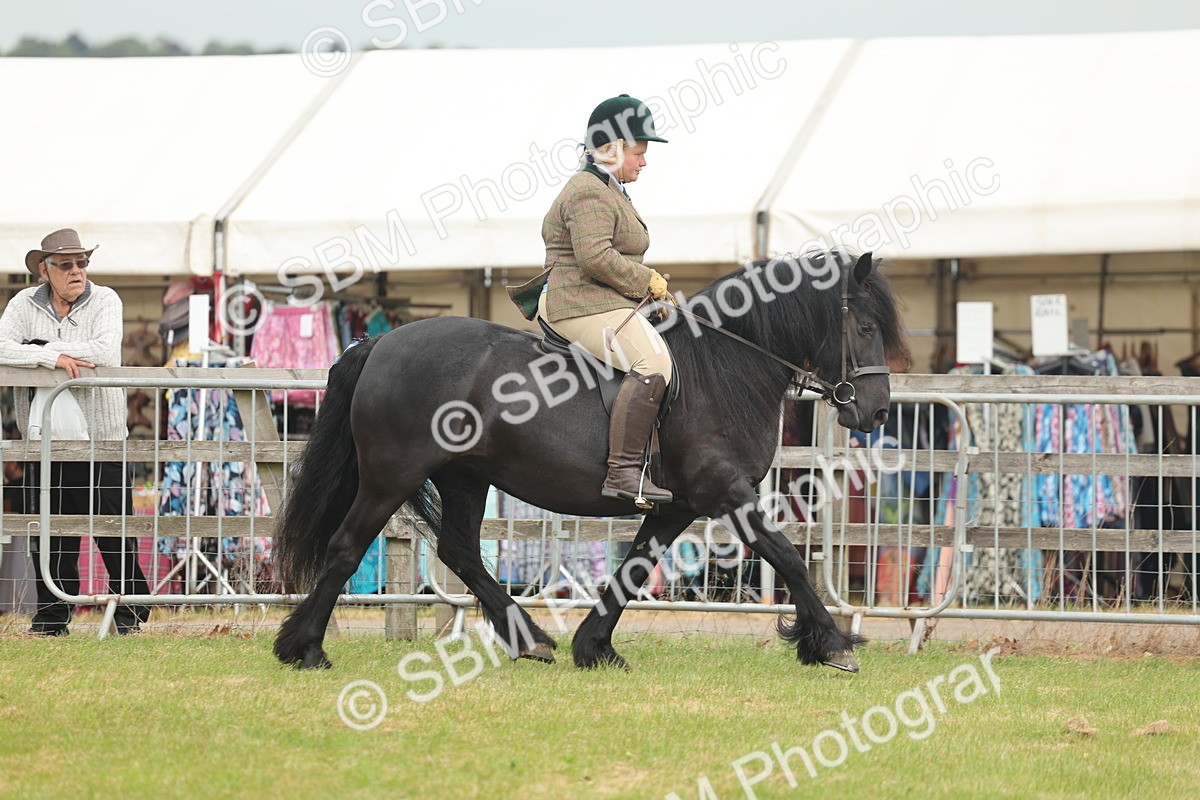 SBM_08917 - Class 78-80 - Ridden M&M Non Welsh Ponies