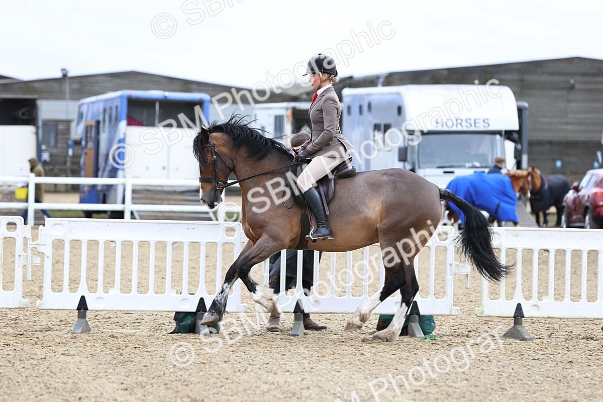 SBM_006965 - Class 29 - 30 - M&M Pure Novice Small-Large Breeds