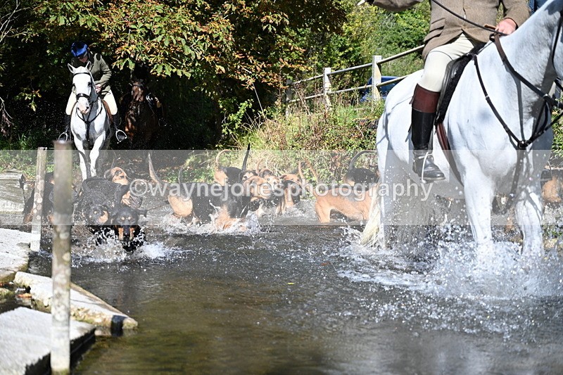 WJ7_5956 - Hounds Water Crossing