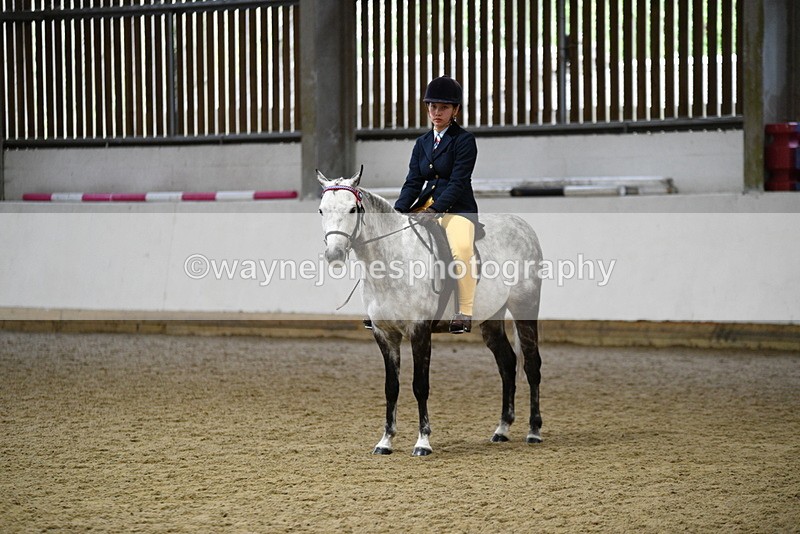 WJ5_8064 - Class 13 Ridden Part Breed