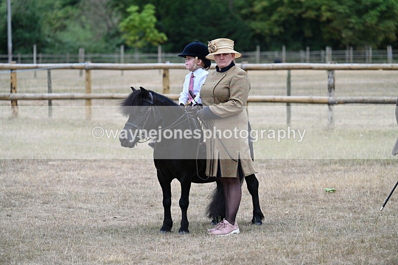 WJ7_8354 - Class 4 Prettiest Mare up to 14.2hh