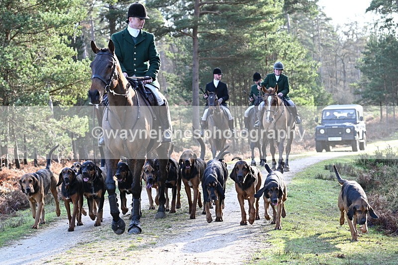 WJ7_7713 - Line 3 (no line 4 or 5)