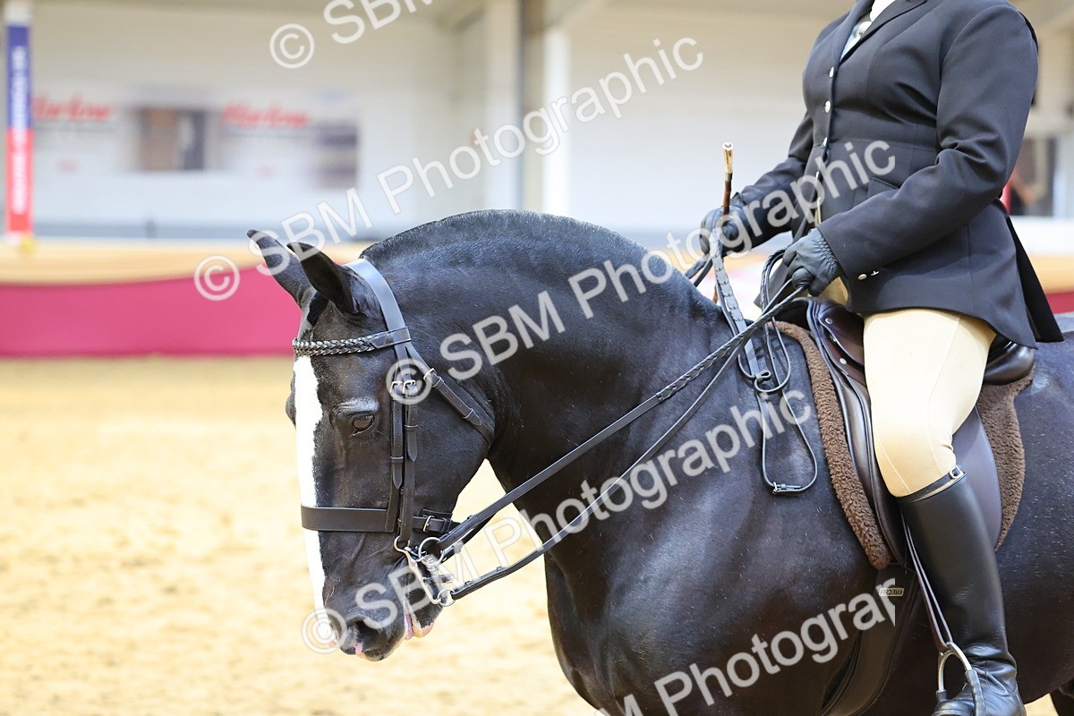 SBM_24159 - Class 905 - Supreme Final - Ridden Veteran