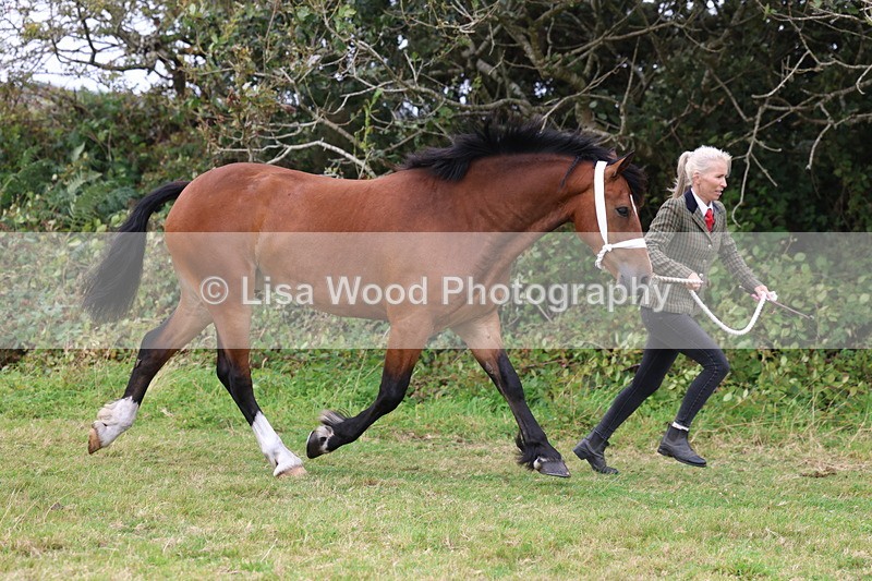 3E7A4370 - Class 15: Three Year Olds