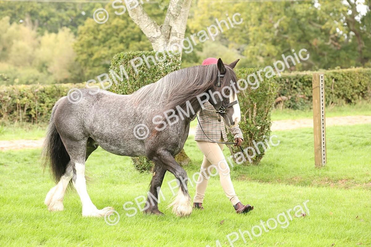 SBM_59216 - S57 - Traditional Cob In Hand