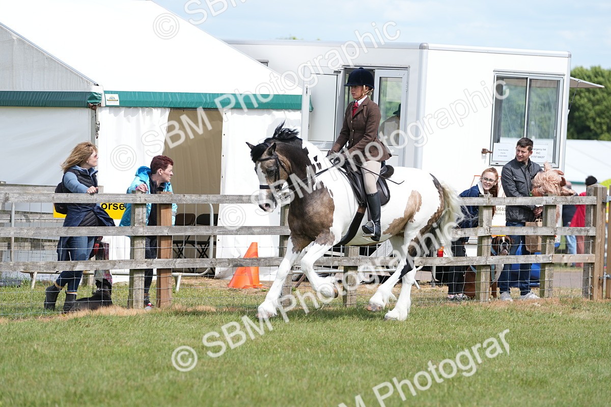 SBM_17150 - Class 107-108 - LIHS BSPS Performance Coloured Horse Pony