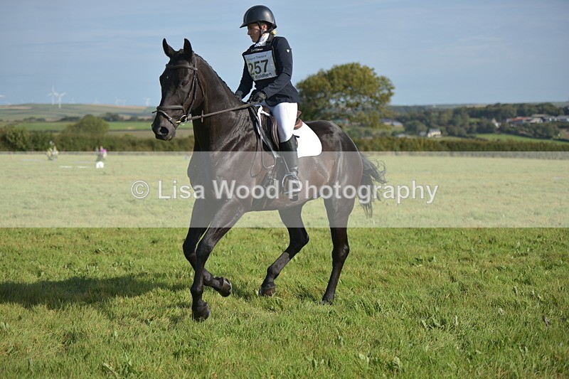 RAY_7455 - Class 2B: Trekenning Open: Dressage