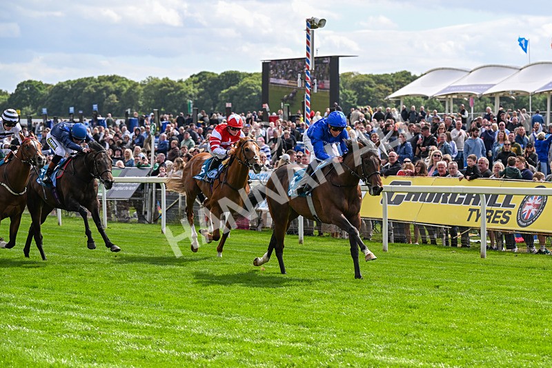 130626-Race 5-Inner City Blues-0587 - Race 5 16.15pm Tomahawk Restaurants Supporting Macmillan EBF Maiden Stakes