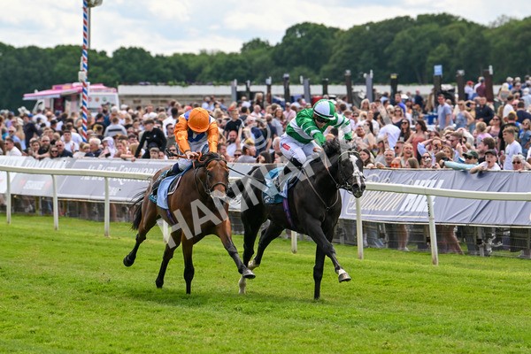 310525-Race 2-Tadej-8938 - Race 2 2.05pm Irish Thoroughbred Marketing EBF Restricted Novice Stakes