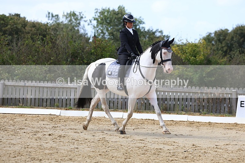 3E7A4056 - Class 9: Novice 6 Section B Championship