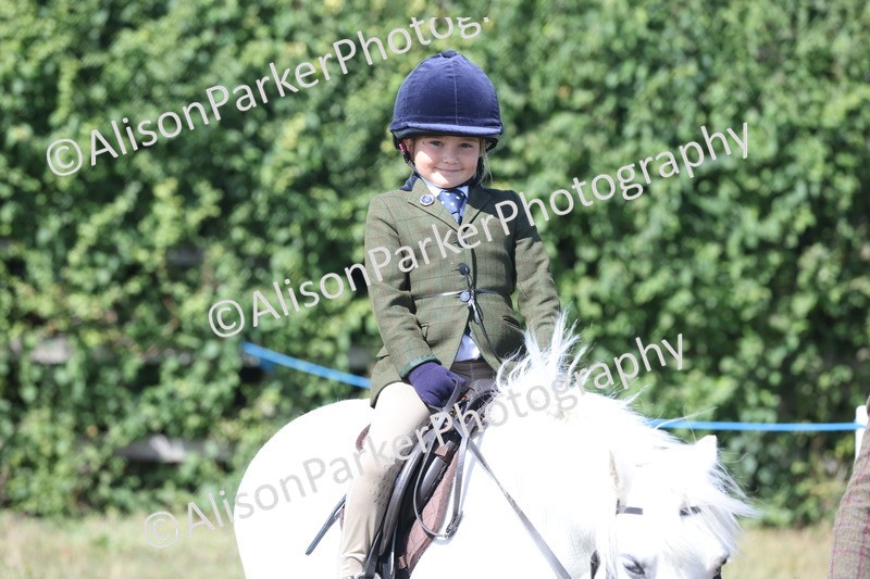 20250831-3154 - Class 24 - Absolute Beginners Pony