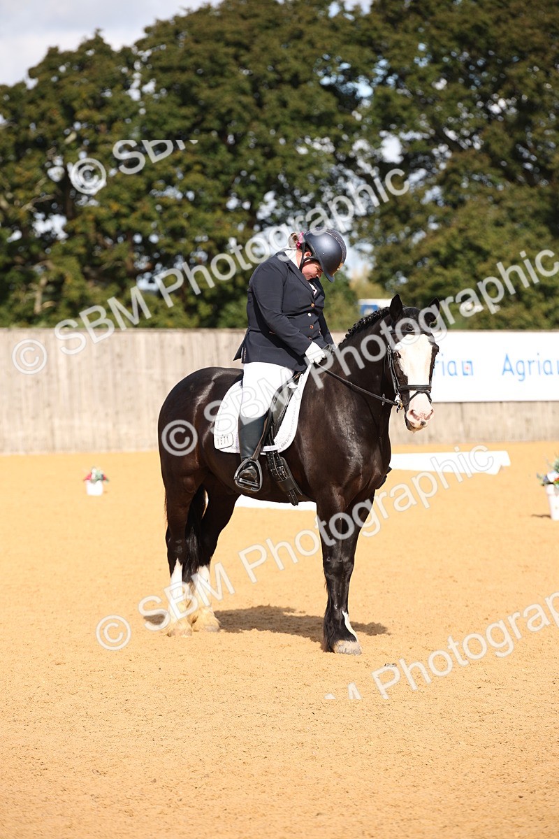 SBM_04195 - D2 Small Tour Championship Intro C