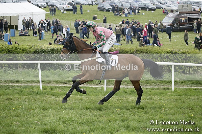 PtP 170417 492 - Old Berks Point-to-Point Lockinge 17/04/17