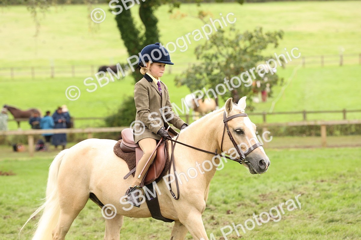 SBM_63041 - S64 - Foreign Breeds Ridden