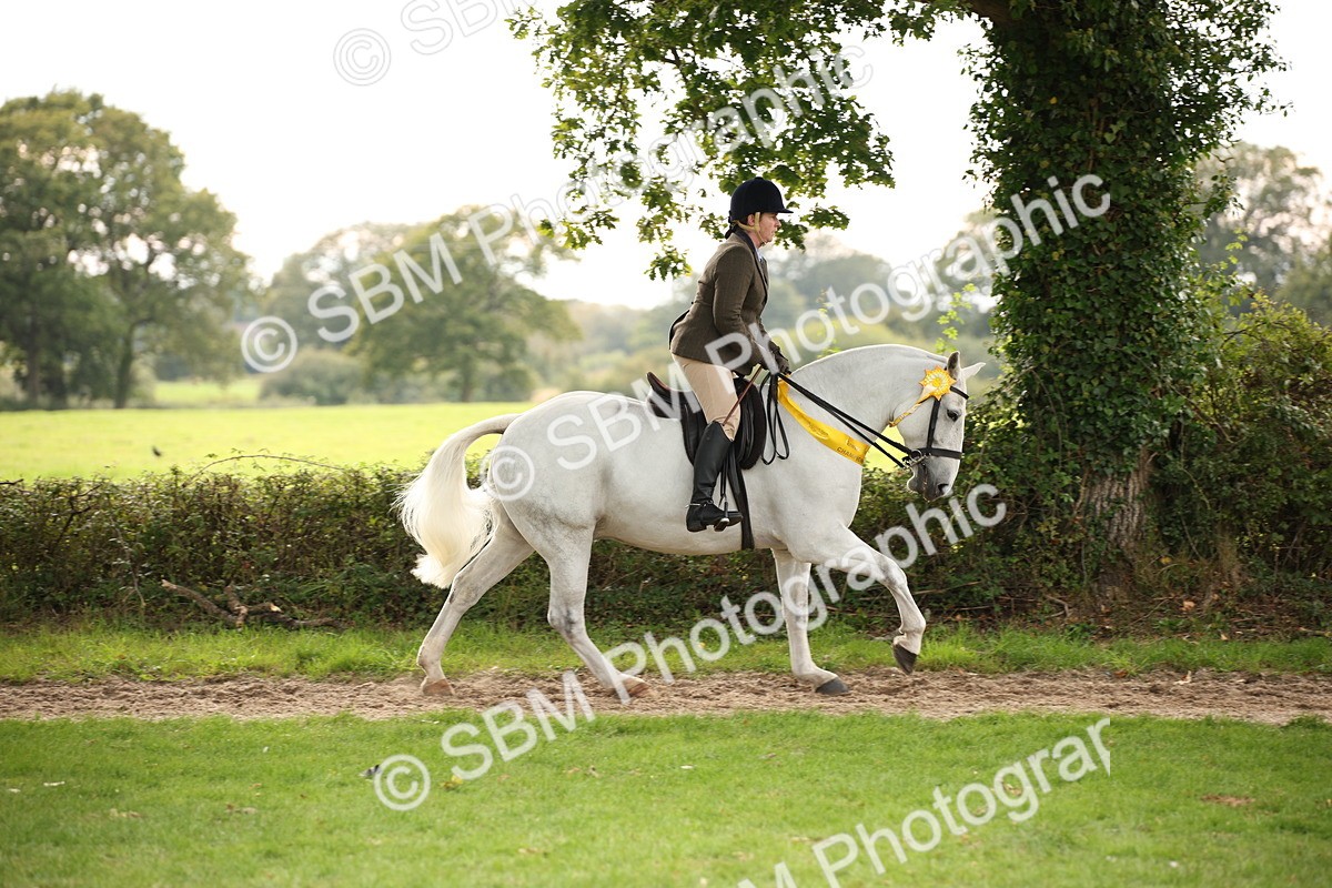 SBM_73635 - Ridden Horse Supreme Championship