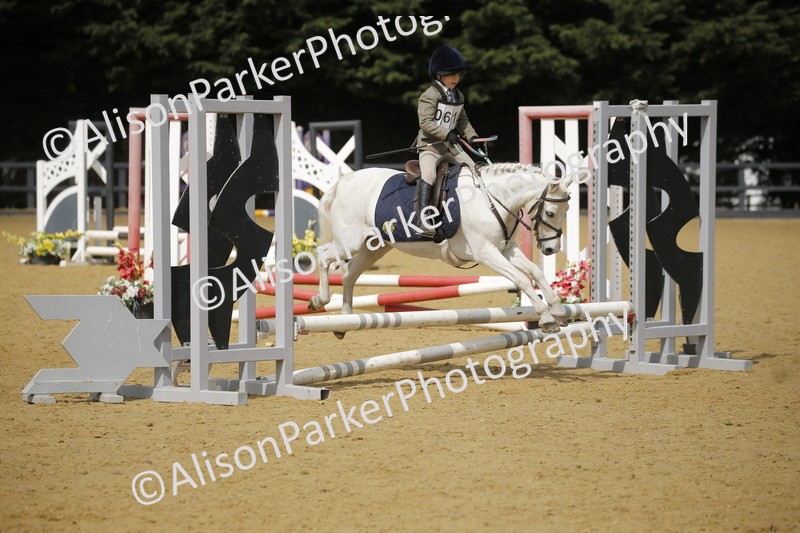 20250622-3746 - 50cm