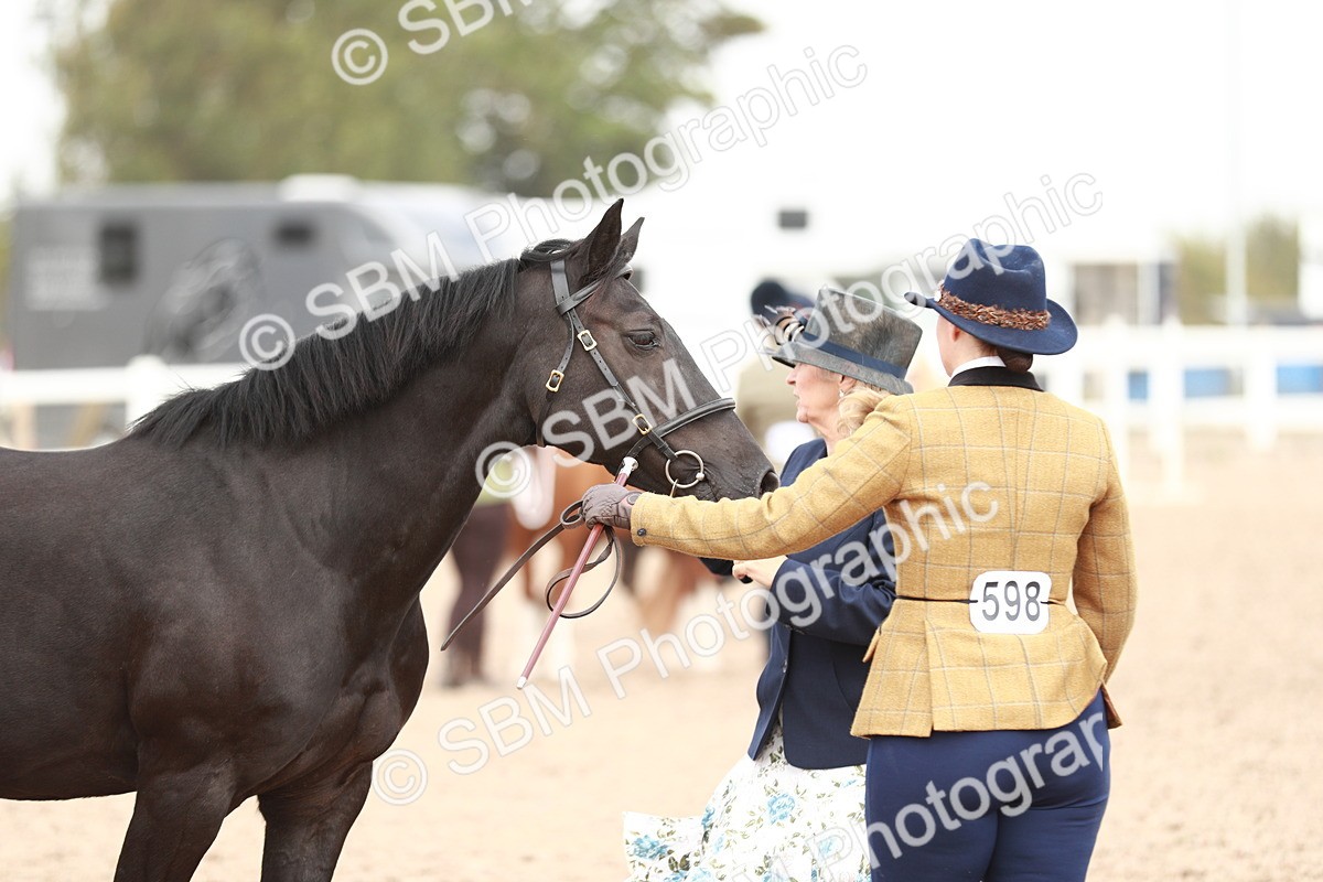 SBM_12520 - Class 207 IH M&M