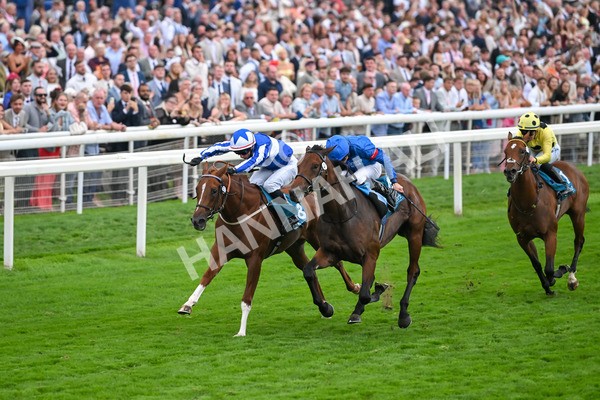 230825-Race 6-Revival Power-0825 - Race 6 4.45pm Julia Graves Roses Stakes
