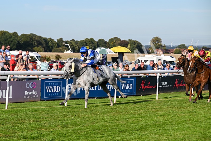 220926-Race 7-Mudamer-5043 - Race 7 5pm Fango Handicap (Div II)