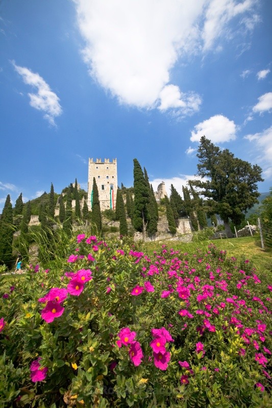 Arco Flowers - European Landscapes