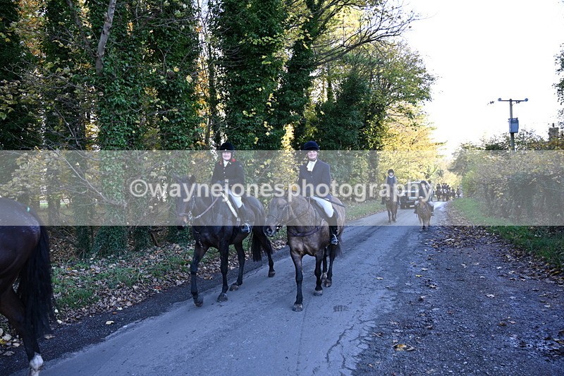 WJ6_9733 - Walk Home