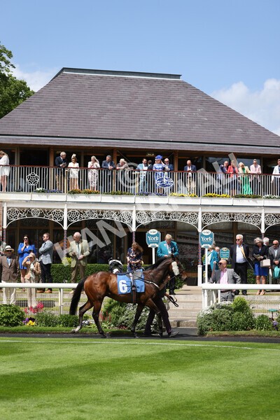 yr10062022r1-4 - Race 1 2.00pm Constant Security Gentlemen Amateur Riders Stakes