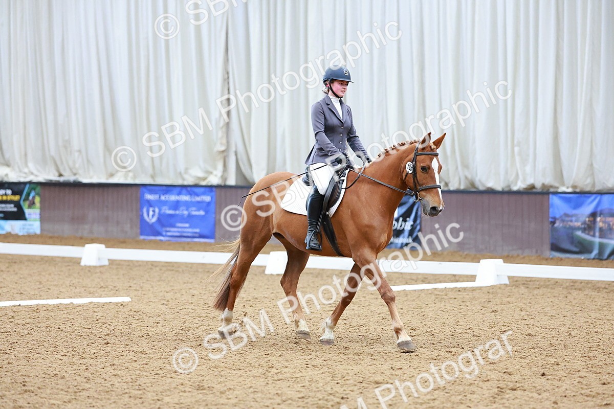 SBM_000948 - Class 12 - Novice 2