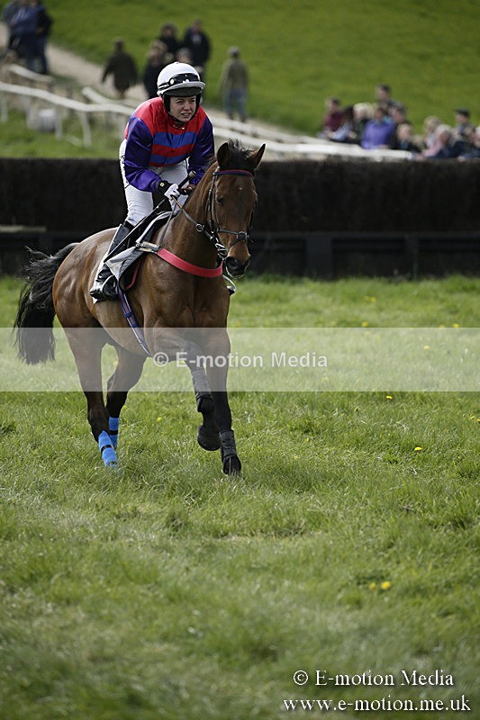 PtP 170417 426 - Old Berks Point-to-Point Lockinge 17/04/17