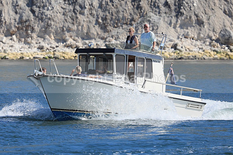 180527 PERFECT DAY - TARGA 25 1Y3A2784 - Motorboats - Hardtop