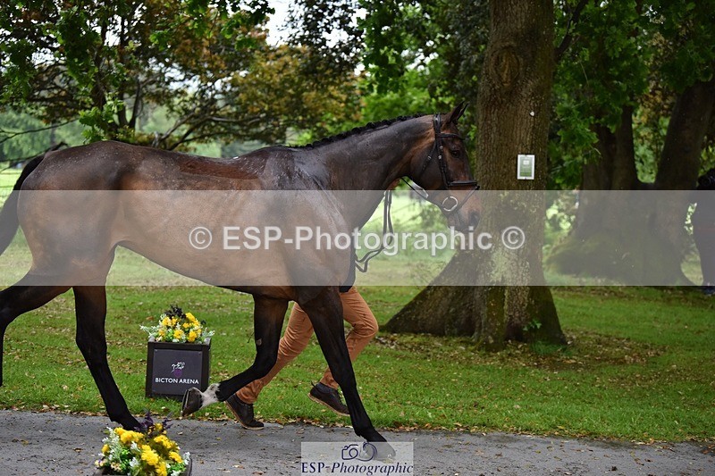 240522-152030-00275 - 323-EMERALD_ENDEAVOUR-Harry_Dzenis