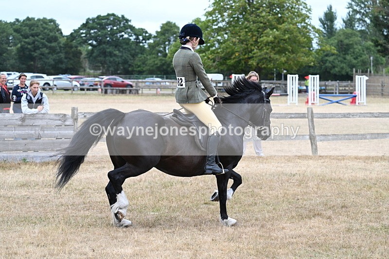 WJ7_0468 - Class 6 Ridden Mountain and Moorland
