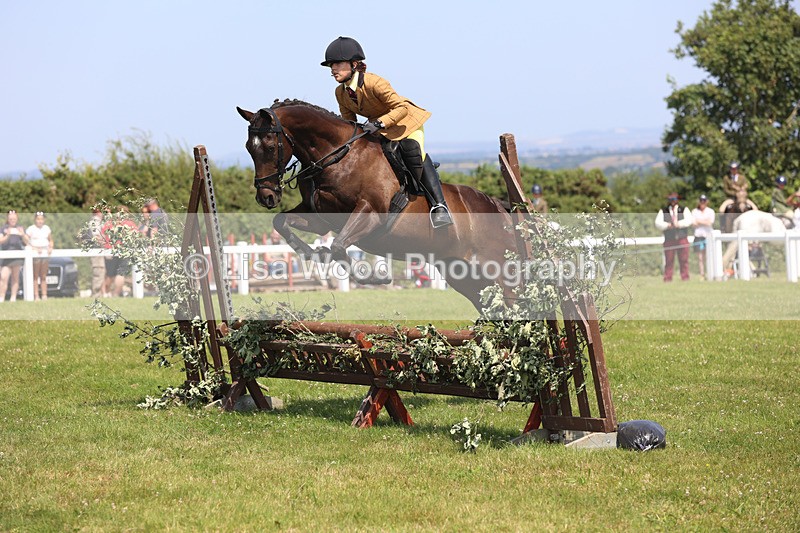 JPP_3059 - Class 22: Working Hunter 70cm