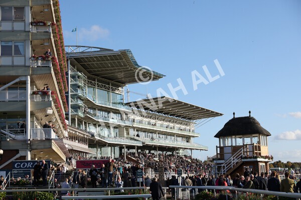 yr08102022r6-9 - Race 6 4.25pm The Watch Racing Online Free With Coral Handicap Stakes