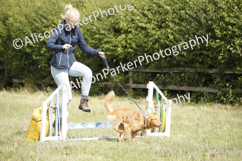 20250831-3894 - Dog Show