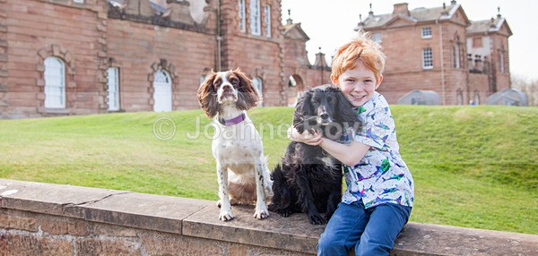 IMG_7033 - Dog Portrait Photography