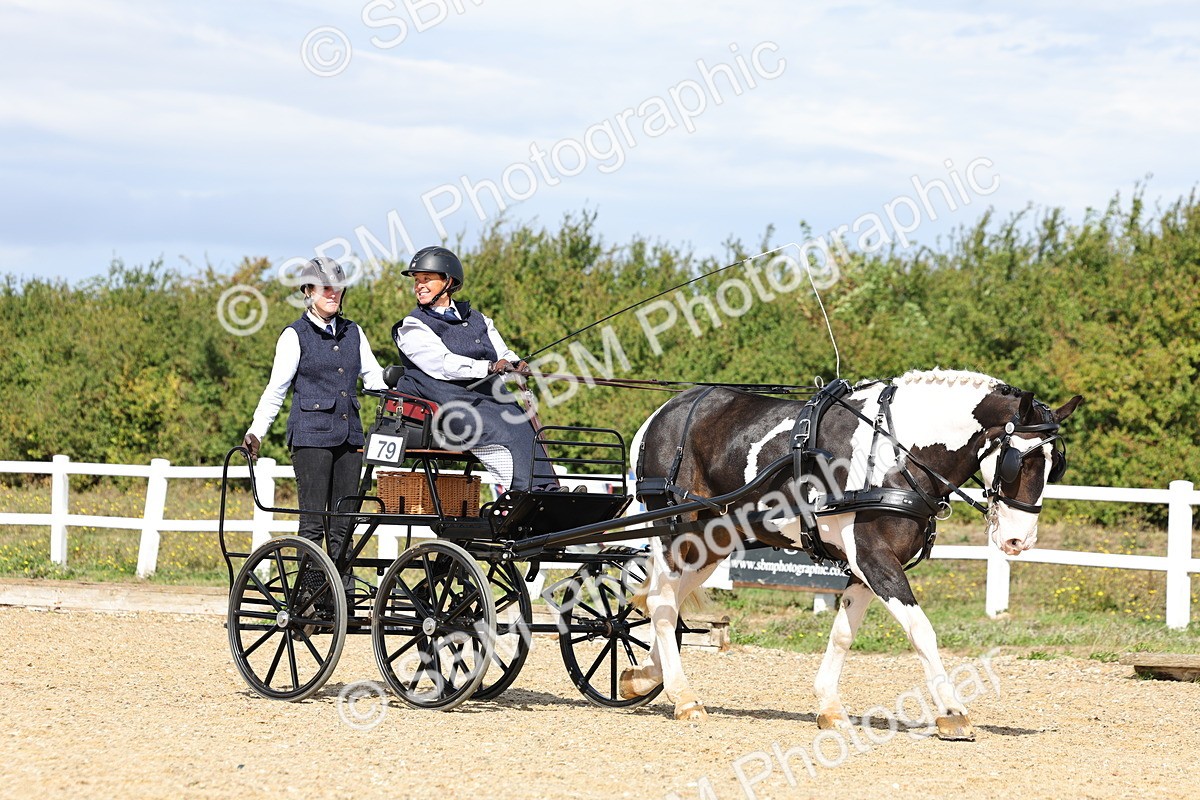 SBM_000862 - Class 8 - Novice Horse or Pony to any vehicle