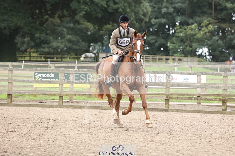 240804-144404-16052 - 660-Tony_Collins-HAYESTOWN_COOLCRONAN_PRINCE