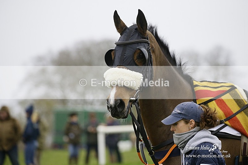 PtP 200222 12 - Countryside Alliance PtP Badbury Rings 20/02/22