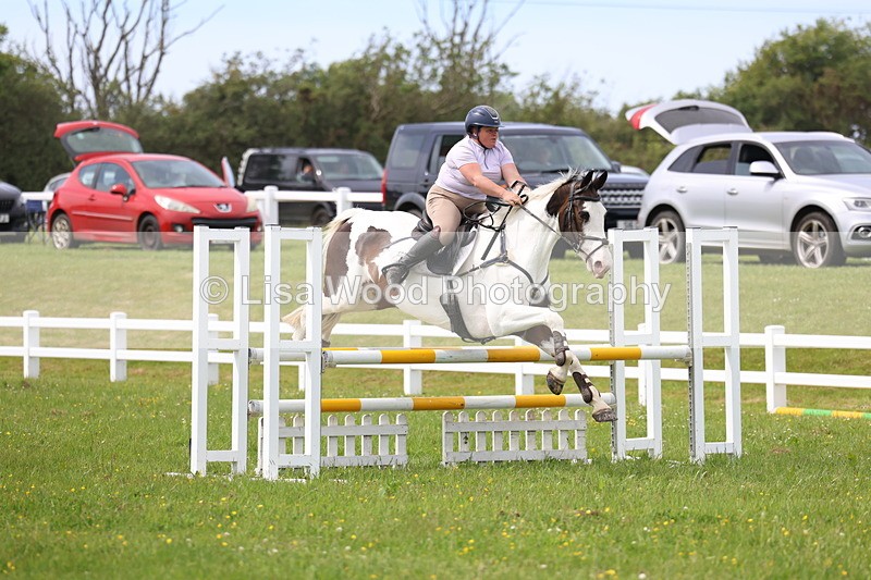 3E7A1846 - Class 13: Senior British Novice/90cm open