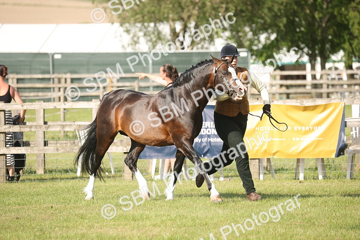 SBM_10381 - Class 33-38 - SSADL RIHS Qualifiers