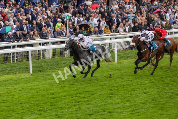 130724-Race 4-Alsakib-2074 - Race 4 3.45pm John Smith's Silver Cup Stakes