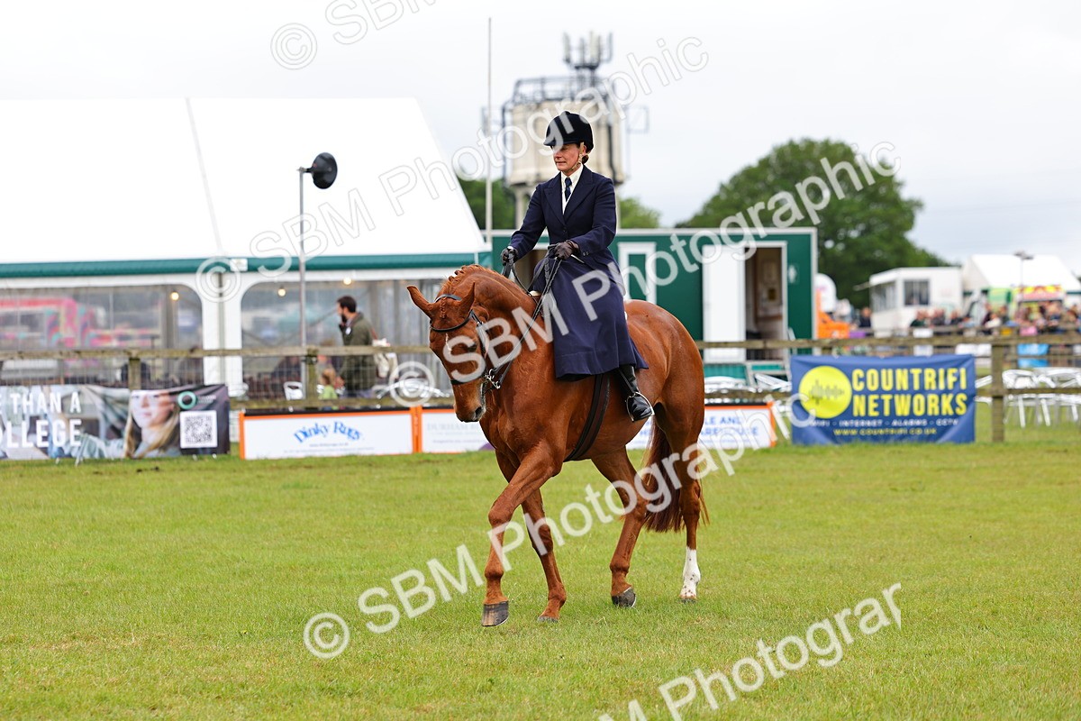 SBM_02950 - Class 9-11 Side Saddle including LIHS Rising Star Ladies Show Horse