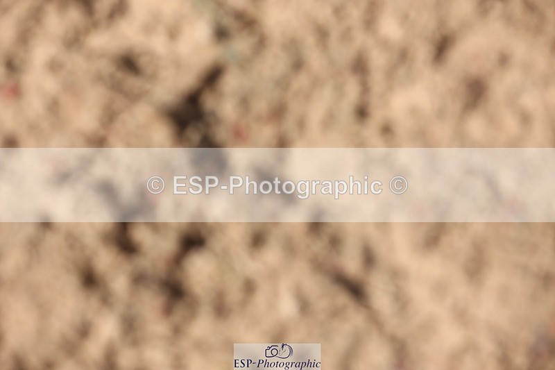 240629A-165536-08196 - Cls 13 Stepping Stones 128cm + 138cm