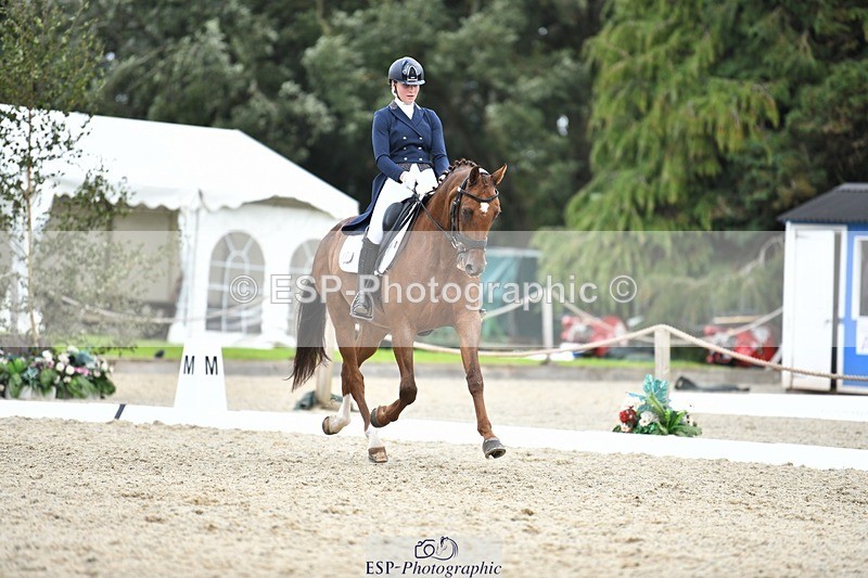 230812-140717-04599 - Cls 7 FEI PSG Bronze