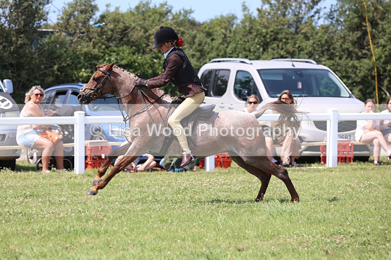 JPP_2974 - Class 22: Working Hunter 70cm