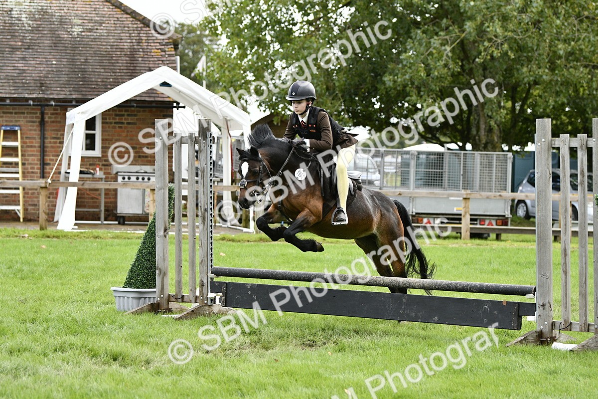 SBM_41263 - S32 - Mountain & Moorland Working Hunter Pony