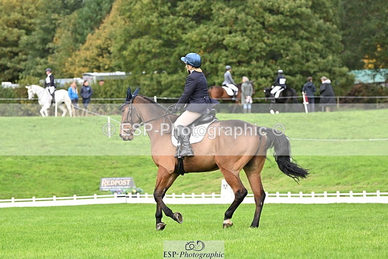 251023A-113717-03624 - G-514-Carolyn.Price With Trot Up